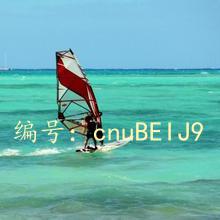 赸